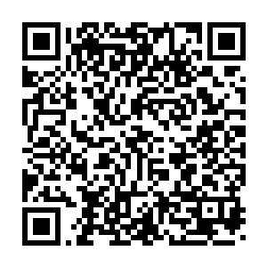 他不明白周围的人类为什么要用这么奇怪的目光注视着自己一家人二维码生成