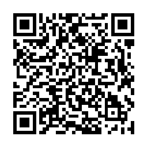 他不能放弃这种大家依靠牺牲自己才争取过来的机会二维码生成
