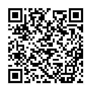 他之前在时间长河中所受的苦也总算是没有白费了二维码生成