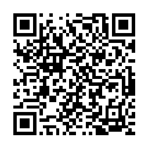 他也不是没有试过用系统制造出来的追踪箭头去寻找宙斯的踪迹二维码生成