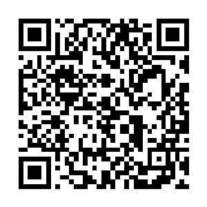 他也只能出售给陆朝歌或者秦家控制的天方生物集团二维码生成