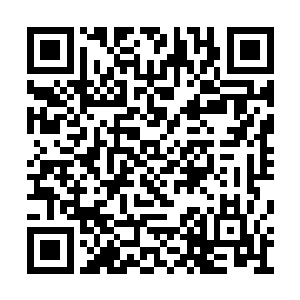 他也很清楚应该如何去与这个年龄的小男孩交流二维码生成