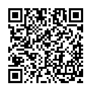 他也是不得不承认吃了杨风炼制丹药的药凌实力足够和他对抗了二维码生成