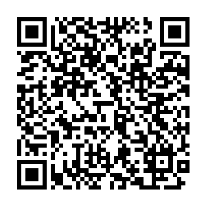 他也没问同样身在仕途的侄子为什么会有那个邋遢道士的联系方式二维码生成