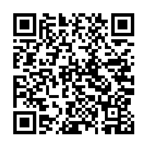 他也远远地看到了此间的域主和包裹着域主们的丹炉虚影二维码生成
