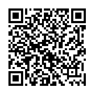 他从吼声当中感受到了比他的血狼王特征更加强大的力量二维码生成
