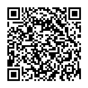 他从来没想到像精灵这样高等的智慧生物竟然会采取这样的单性生殖模样二维码生成