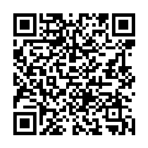他以七鼎九阶的实力能够将钻石级武技发挥出这么大的本事二维码生成