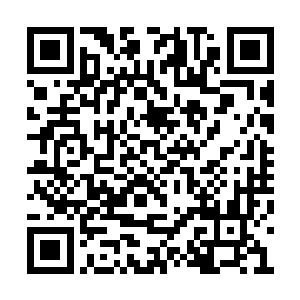 他以为这世上已经没有什么能让他感到太过惊讶二维码生成