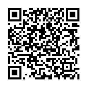 他以前跑到公司以找姐姐的名义来看马悦的时候二维码生成