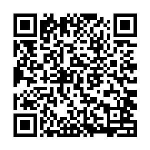 他们一些世家子弟原先已经相约好了在升仙楼聚一下二维码生成