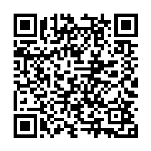 他们一方面在玉简中学习现代修真文明的风俗习惯二维码生成