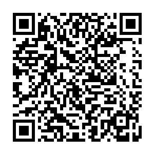 他们万万没有想到他们心里应该是海澜门少宗主和另外一位海澜门渡劫的二维码生成
