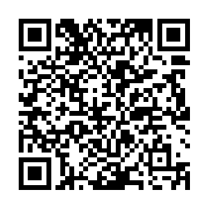 他们之间的生命共存协议已经不知道什么时候被消除了二维码生成