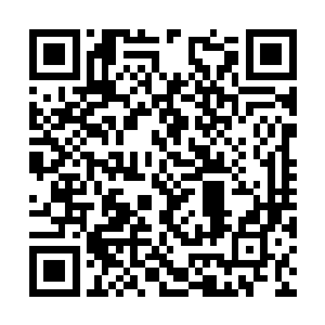 他们也不敢真的相信张潇晗手里会有那么多的灵药二维码生成