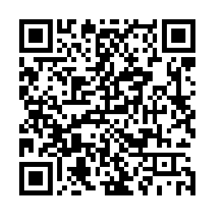 他们也害怕自己真要上前会落得一个跟亚历山大一样的下场二维码生成