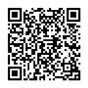 他们也应该知道他们和普通民众一样有纳税的义务二维码生成