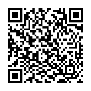 他们也知道在之前和三族的仙战中扮演着什么角色二维码生成