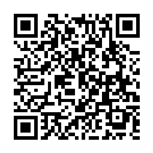 他们也知道妖族所提的条件北寒山的修士是没有权利决定的二维码生成