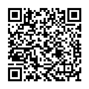 他们也确信吕一剑可以通过枇杷网帮他们赚钱的二维码生成