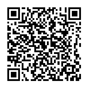 他们二人的名字便被以特殊的方式刻入了报晓派的掌门亲掌的金阙玉碟之内二维码生成