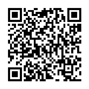 他们五个杀过圣德殿红衣大主教这件事是他们一辈子的荣耀二维码生成