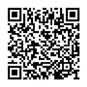 他们从来没有见过哪位修士体内的域界会这么大二维码生成