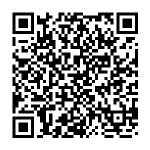 他们以前听到的龙吟声没有现在的龙吟给他们如此强的压迫的能力二维码生成