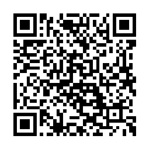 他们会在飞机上跟你们交待这次任务的详细信息二维码生成