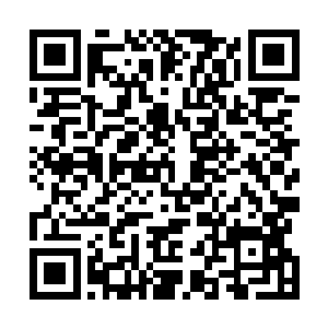 他们似乎根本没有意识到那个黑影是故意引导他们过去的二维码生成