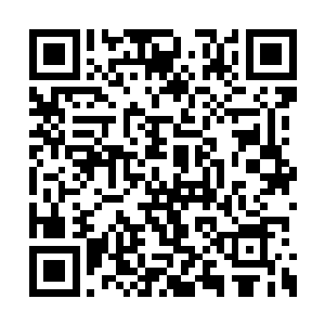 他们似乎看到银行里的数字正在翻倍的往上翻滚二维码生成