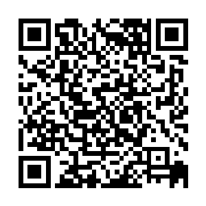 他们却依旧没有一人诅咒智慧丧尸或者那些对他们施暴的走狗二维码生成