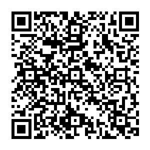 他们只是要向所有的战队令主们普及与海族和海兽作战需要注意的一些常识性问题而已二维码生成