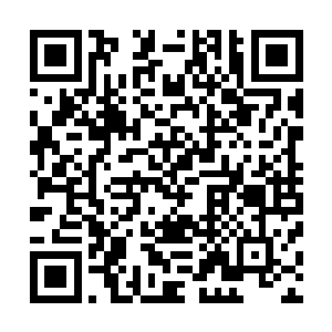 他们在生活中不知不觉得就已经编织出了一张巨大的关系网二维码生成