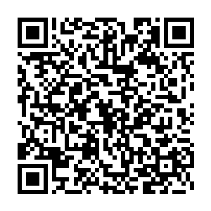 他们在蒋家老祖宗的灵堂门口遇到正从里面出来的周怀礼和蒋四娘二维码生成