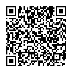 他们在跟随九原人没多久就得到了一个刻有他们姓名年龄等信息的骨牌二维码生成