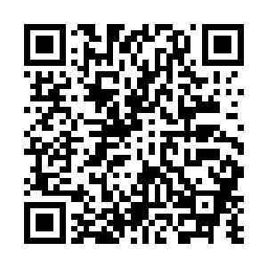 他们好歹在刚进入神界的时候也与神修多少有些接触了二维码生成