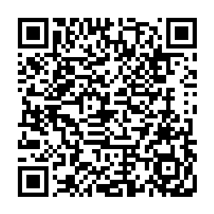 他们如今还留有一些岐山路考核诞生的一些精英进入大型群域之后闯荡的结果二维码生成