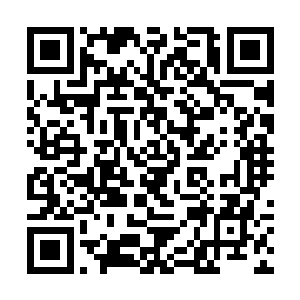 他们宋家可是冒着很大的危险和这些隐世太子交涉的二维码生成
