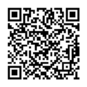 他们完全把扮演桑托斯的表演艺术家鬼狐忘记了二维码生成