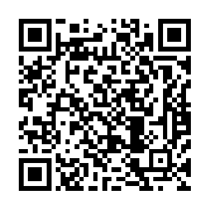 他们完全是以电影和表演的角度看待每年上映的几百部电影二维码生成