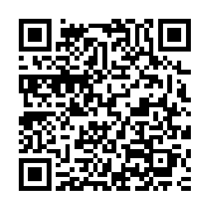 他们完全没有想到追击一个元婴期的修士会浪费这么多的时间二维码生成