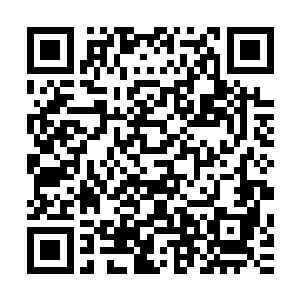 他们实在没办法将兔子这个无害可爱的生物与凌蘭联系到一块二维码生成