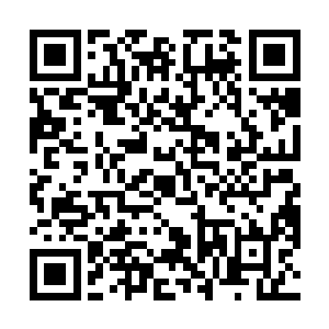 他们将与友军一道取代第二天幕区域各节点坐镇的仙人二维码生成