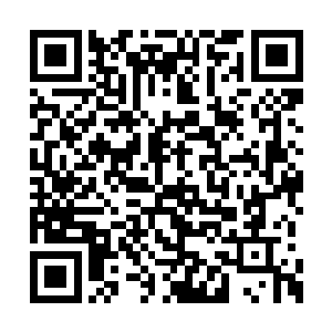 他们居然在这遇到了一个冥凰一族的血脉继承者二维码生成
