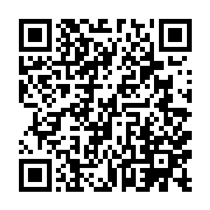 他们居然能做到让龙牙都调查不出来他们背后的势力二维码生成