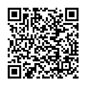 他们已经柔情款款的讨论起他们今后的美好时光了二维码生成