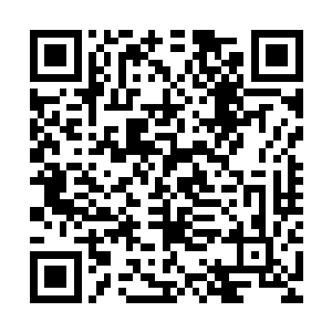 他们带着常规走一定会被海关扣下的大堆行李踏上了返程的飞机二维码生成