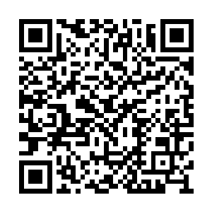 他们怎么也没有想到洛尘竟然会出现在这种地方二维码生成