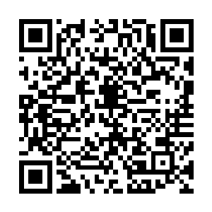 他们怎么也没有想到自己的老祖宗居然会做出这样的事情来二维码生成